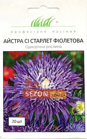 Астра китайская Си Старлет 20 семян фиолетовая, Satimex - Фото 2