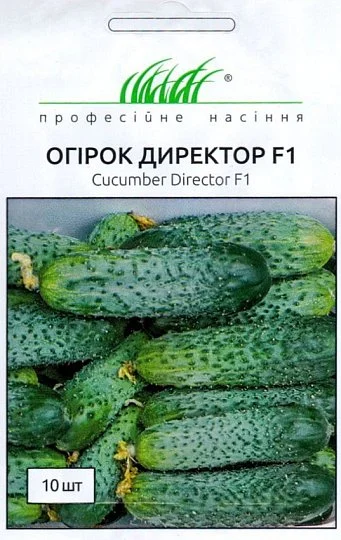 Огірок Директор F1 10 партенокарпічний насіння ранній, Nunhems Zaden - Фото 2