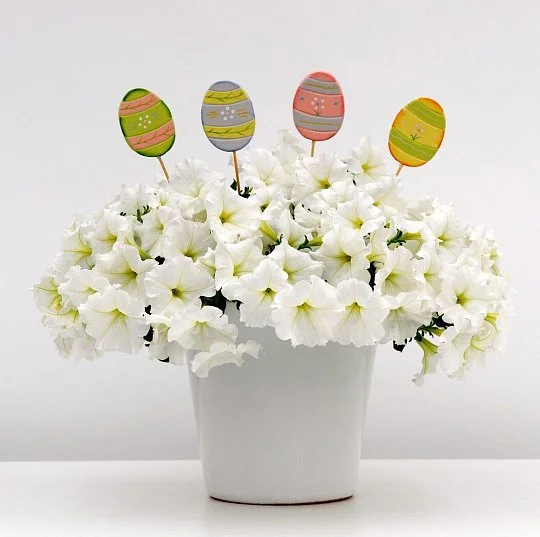 Петунія Ізі Вейв F1 100 дражованого насіння ампельна біла, Pan American flowers