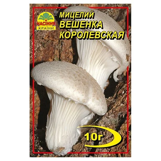 Міцелій Глива Королевська 10 г, Насіння України