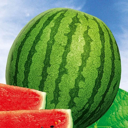 Кавун Аю Продюсер на вагу, Агролінія