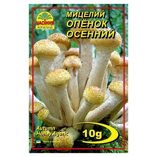 Міцелій Опенок Осінній 10 г, Насіння України
