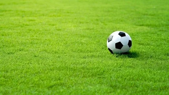 Трава газонна Спорт 100 г, DLF Trifolium - Фото 2