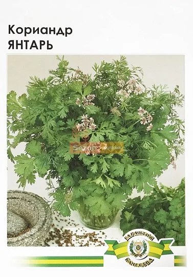 Кориандр Янтарь 10 г, Империя Семян