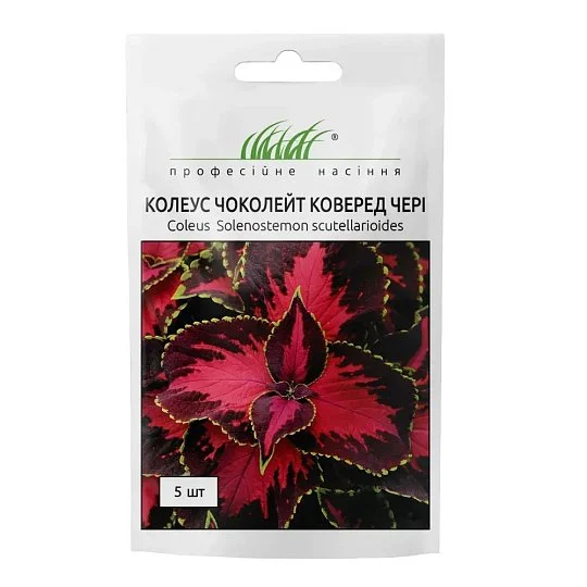 Колеус Чоколейт Коверед Чери 5 шт, Pan American