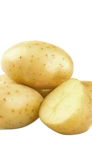 Картофель семенной Банба 5 кг, Нидерланды - Фото 2