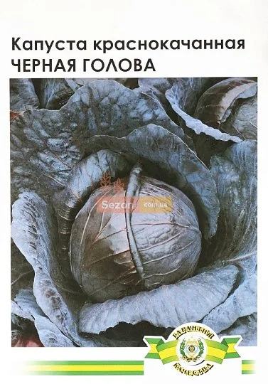 Капуста Черная голова 5 г краснокочанная среднеранняя, Империя Семян