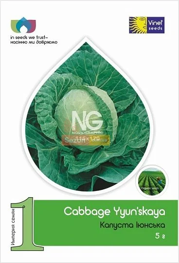 Капуста Июньская 5 г белокочанная ранняя, Vinel' Seeds