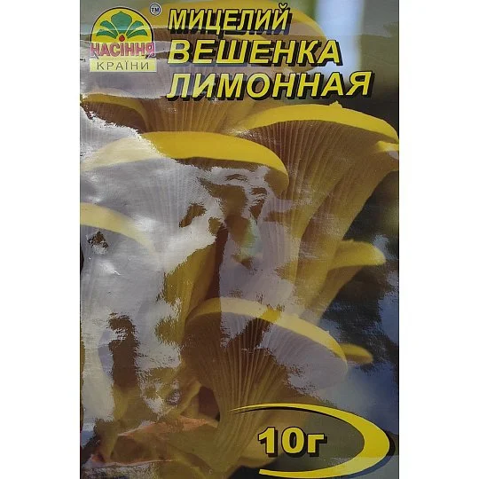Міцелій Глива лимонна 10 г, Насіння України - Фото 2