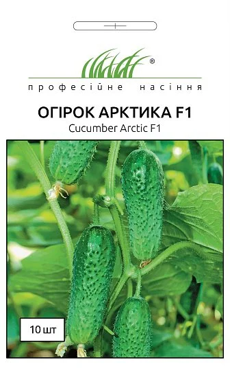 Огурец Арктика (Арена) F1 10 семян партенокарпический ранний, Nong Woo Bio