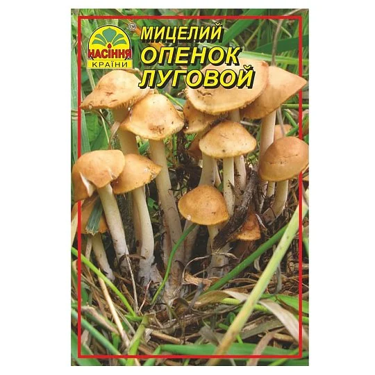 Міцелій Опенька лугового 10 г, Насіння України