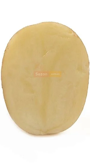 Картофель семенной Бикини 5 кг, Нидерланды - Фото 2