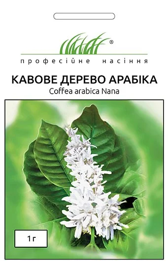 Кофейное дерево Арабика 1 г, Hем Zaden