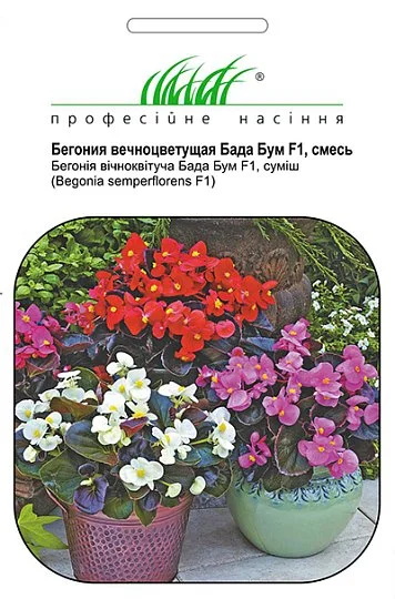 Бегонія Бада Бум F1 20 дражованого насіння суміш, Syngenta Flowers - Фото 3