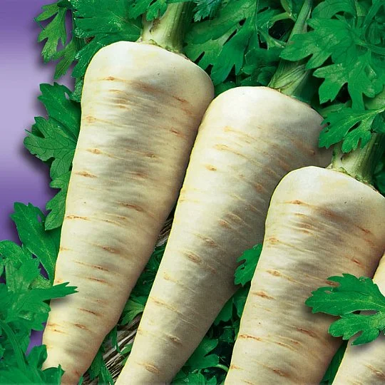 Петрушка Сахарная корневая на развес, Агролиния