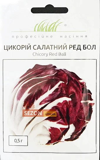 Цикорий Ред Бол 0,5 г салатный ранний, Anseme - Фото 3