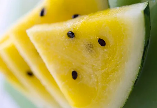 Арбуз Оранж Кинг F1 1000 шт, Nong Woo Bio - Фото 2