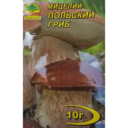 Міцелій Польський гриб 10 г, Насіння України - Фото 2