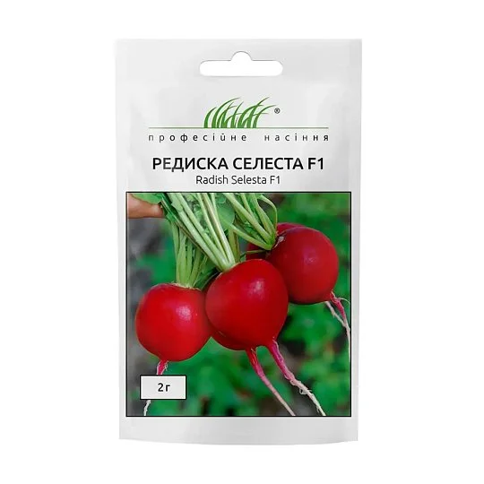 Редис Селеста F1 2 г ранний, Enza Zaden
