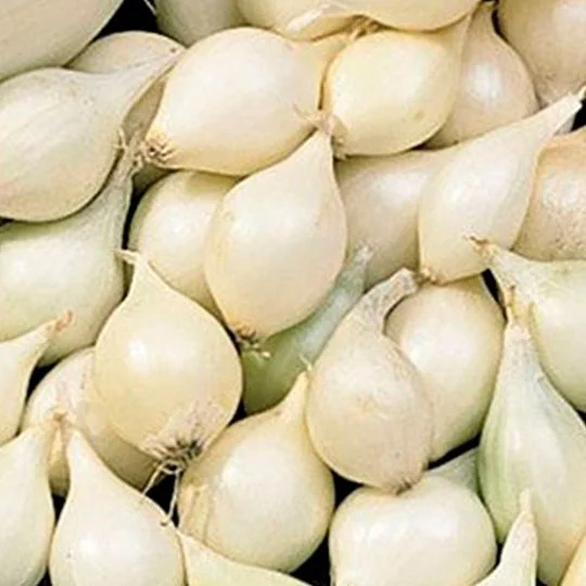 Гледстоун 500 г цибуля арбажейка сівок, TOP