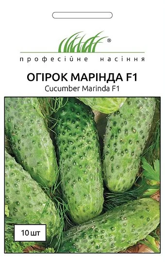 Огурец Маринда F1 10 семян партенокарпический ранний, Seminis