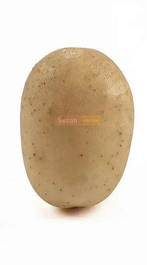 Картофель семенной Саванна 25 кг элита, Нидерланды