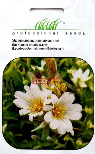 Едельвейс альпійський 0,1 г білий, Hем Zaden - Фото 2