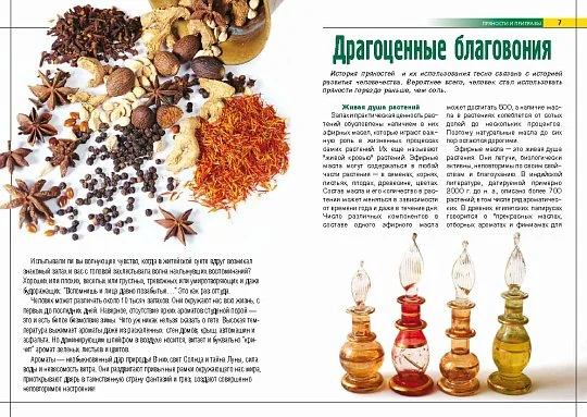 Пряности и приправы - Фото 4