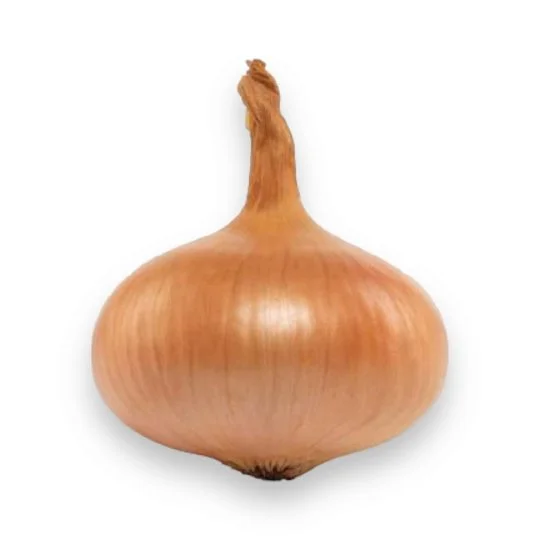 Цибуля Штутгартен 0,5 кг, Агролінія - Фото 2