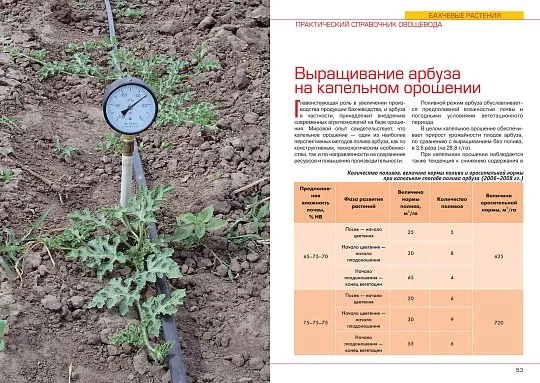 Бахчевые растения: практический справочник овощевода - Фото 4