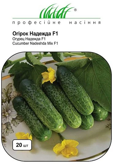 Огірок Надія F1 20 насіння бджолозапильний ультраранній, Seminis