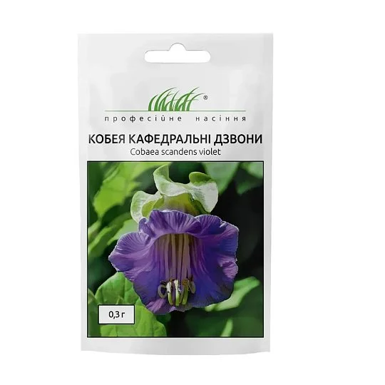 Кобея Кафедральные колокола 0,3 г фиолетовая, Hем Zaden