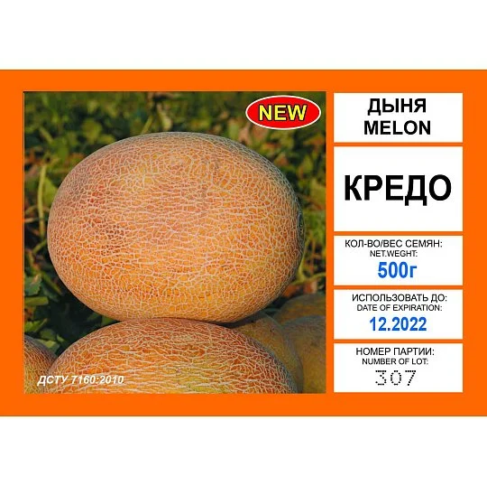 Дыня Кредо 500 г ранняя, ТМ Витас - Фото 2