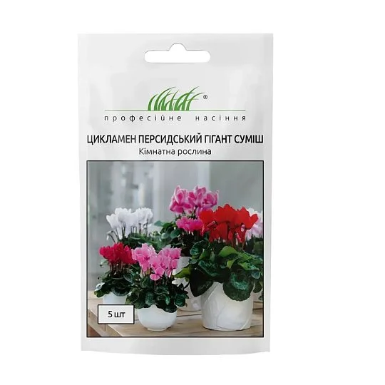 Цикламен перський крупноквітковий 5 шт суміш, Hем Zaden