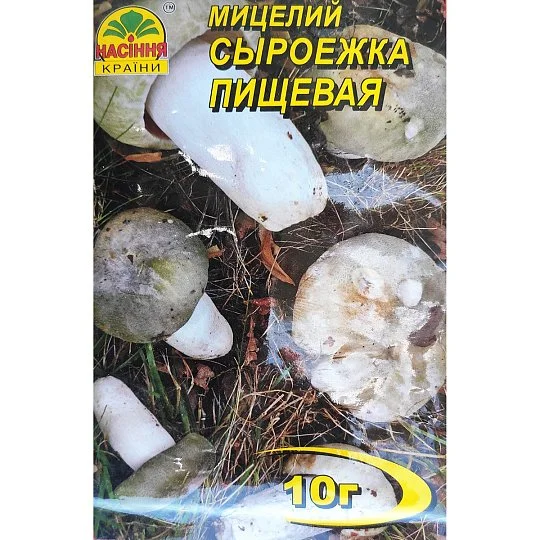Мицелий Сыроежка пищевая 10 г, Насіння України - Фото 2