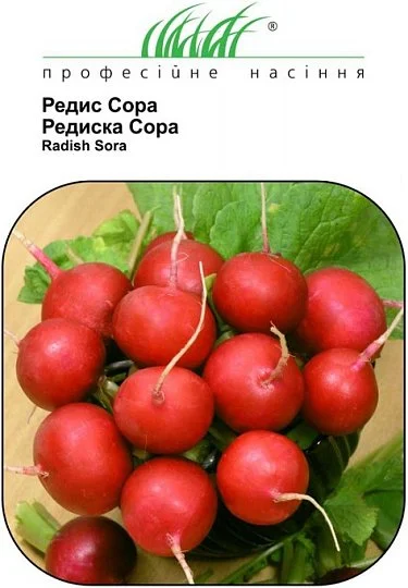 Редис Сора 10 г ранній, Nunhems Zaden