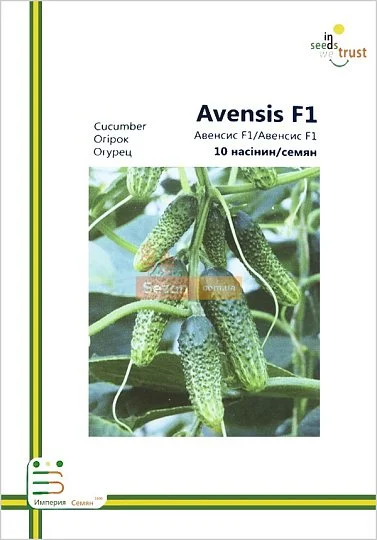 Огурец Авенсис F1 партенокарпический 10 семян европакет, Империя Семян - Фото 2