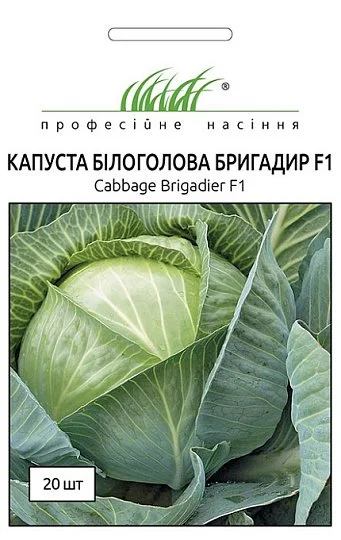 Капуста Бригадир F1 20 семян белокочанная среднепоздняя, Clause - Фото 2