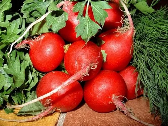 Редис Покер весовой ранний