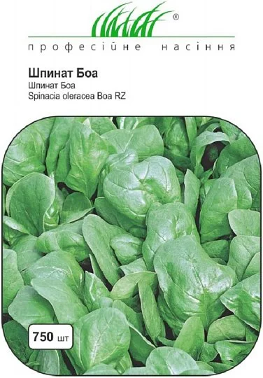 Шпинат Боа 10 г скороспелый, Rijk Zwaan - Фото 2