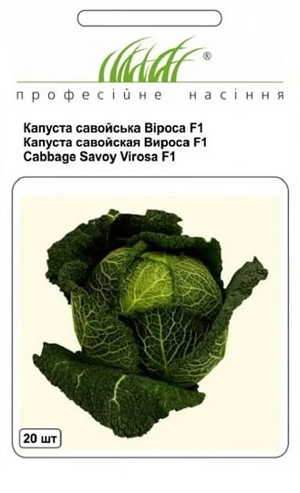 Капуста Вироса F1 20 семян савойская поздняя, Bejo Zaden - Фото 2