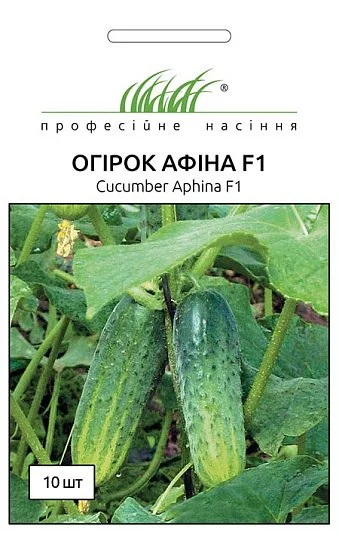Огурец Афина F1 10 семян партенокарпический ранний, Nunhems Zaden