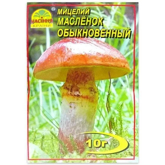 Мицелий Масленок обыкновенный 10 г, Насіння Країни - Фото 2