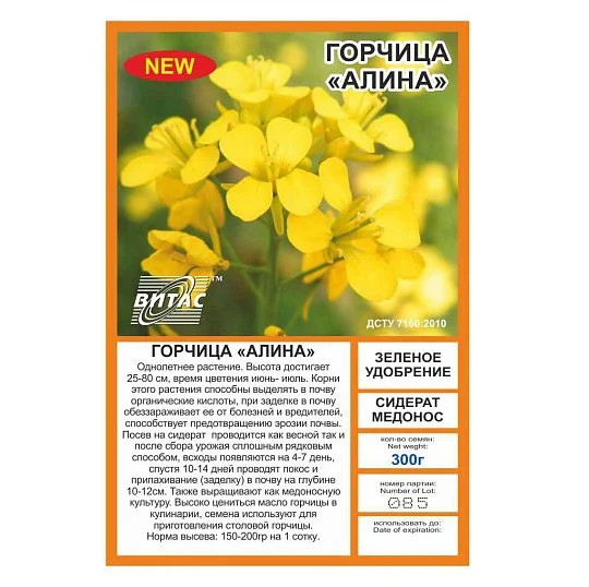 Горчица Алина 0,5 кг зеленое удобрение, Витас - Фото 2