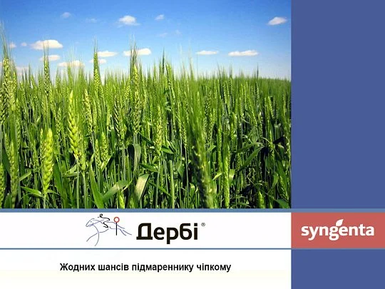 Дерби 500 мл гербицид избирательного действия, Syngenta