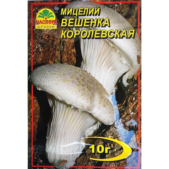 Міцелій Глива Королевська 10 г, Насіння України - Фото 2