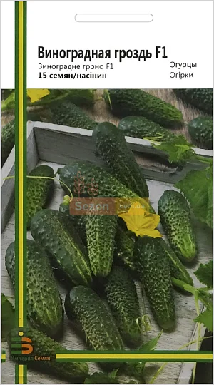 Огірок Виноградний грон F1 15 насіння бджолозапильний ранній, Імперія Насіння - Фото 2