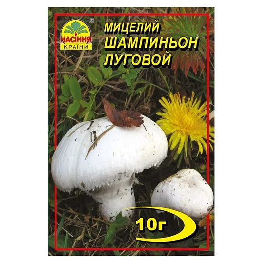 Міцелій Шампіньйон Луговий 10 г, Насіння України