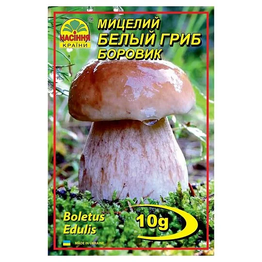 Мицелий Белый гриб Боровик 10 г, Насіння Країни
