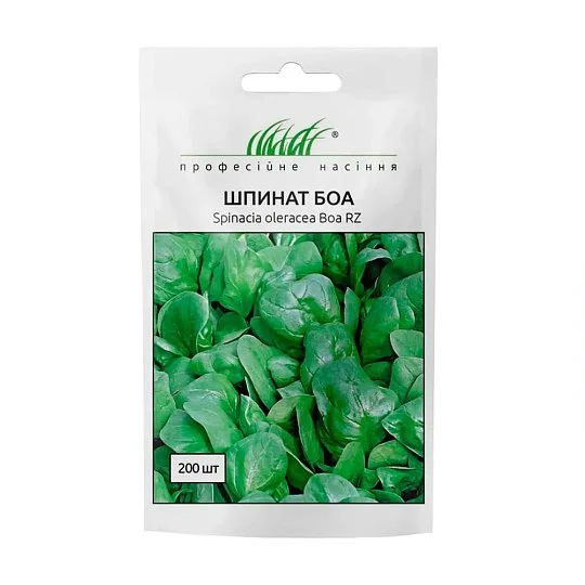 Шпинат Боа 200 насіння скоростиглий, Rijk Zvaan
